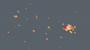 Animated School of Goldfishes