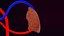 Double circulation system