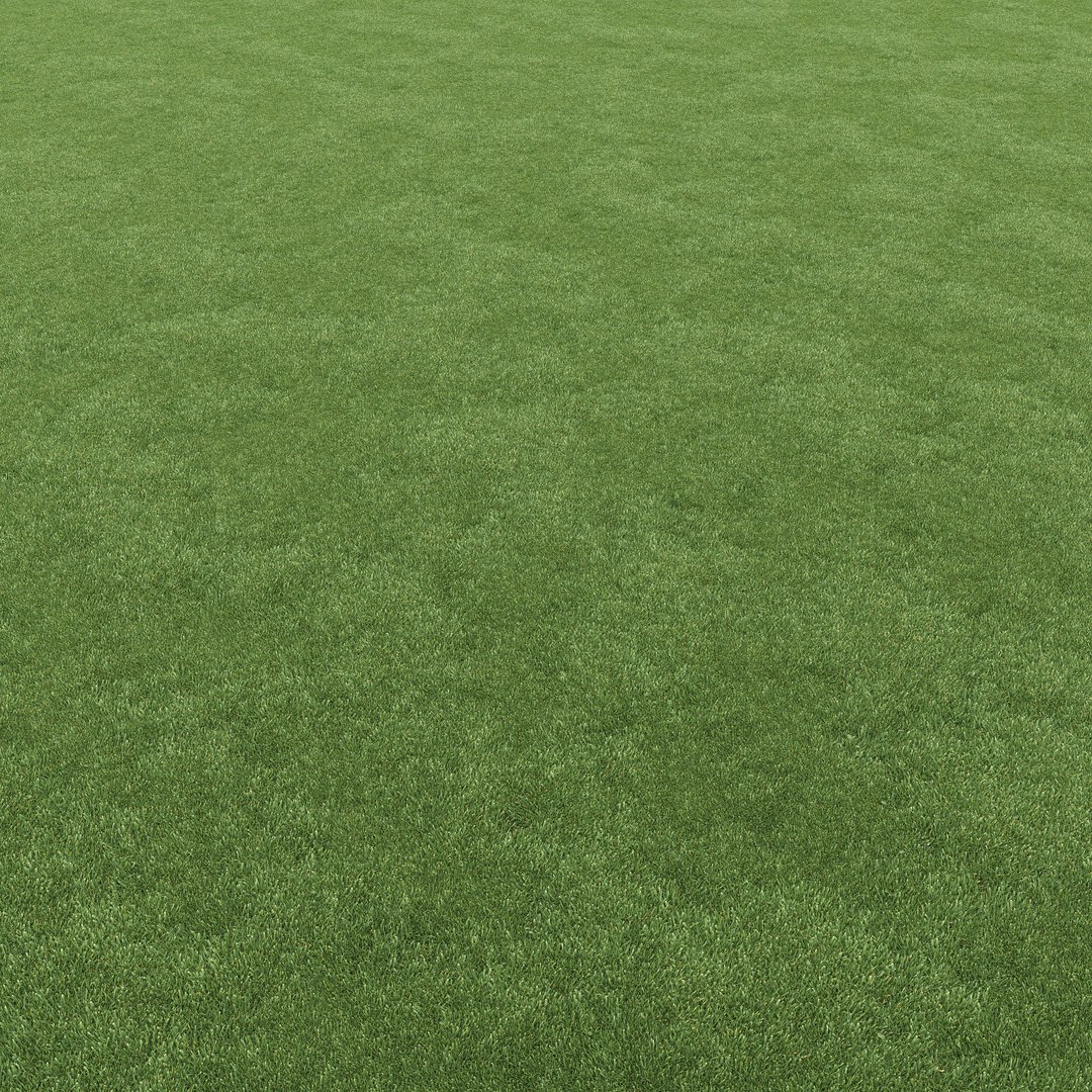 mowed lawn grass 3D https://p.turbosquid.com/ts-thumb/BE/M7BVjY/6sPOedu3/preview11/jpg/1607344362/1920x1080/fit_q87/2cc2de42493a89b8d72372b4dbe0581affd27fe9/preview11.jpg
