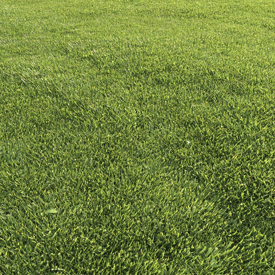 mowed lawn grass 3D https://p.turbosquid.com/ts-thumb/BE/M7BVjY/8W1WjY9T/preview08/jpg/1607344361/1920x1080/fit_q87/c02ecbf362cb6466ea2bab7c931a73ed0f745c7b/preview08.jpg