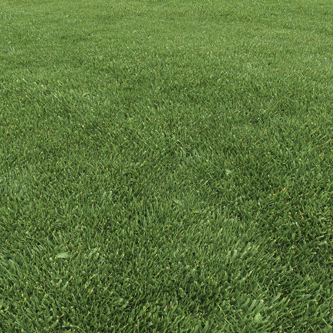 mowed lawn grass 3D https://p.turbosquid.com/ts-thumb/BE/M7BVjY/IIk0QA2D/preview07/jpg/1607344361/1920x1080/fit_q87/5d562721eeda700682314251eb88eb0d318ca58c/preview07.jpg