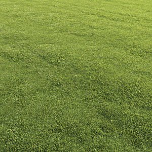 mowed lawn grass 3D