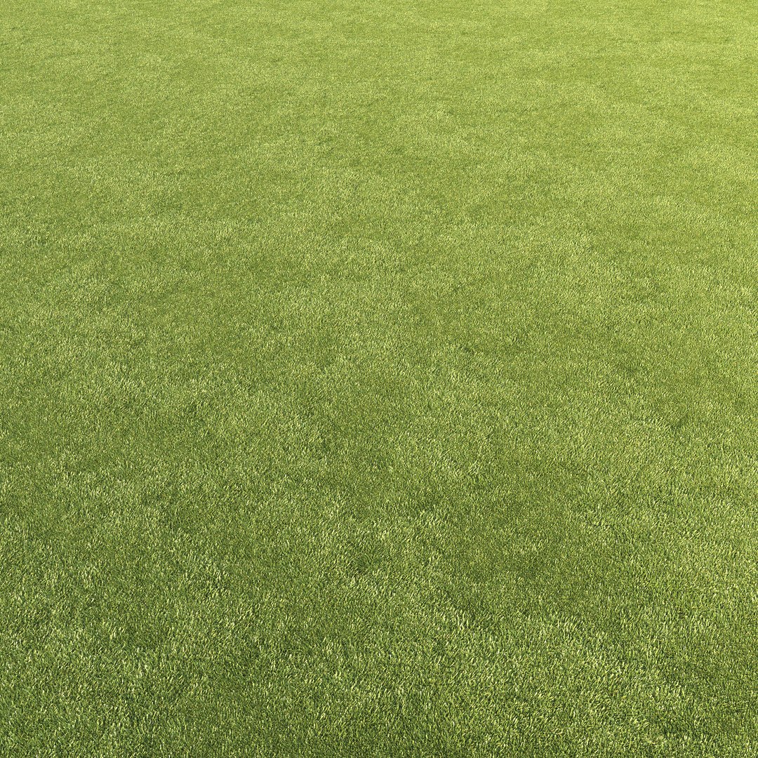mowed lawn grass 3D https://p.turbosquid.com/ts-thumb/BE/M7BVjY/Qa7hLngp/preview12/jpg/1607344362/1920x1080/fit_q87/7d4830aa4fcd334f6c98c72adaeb51b85bfb5d42/preview12.jpg