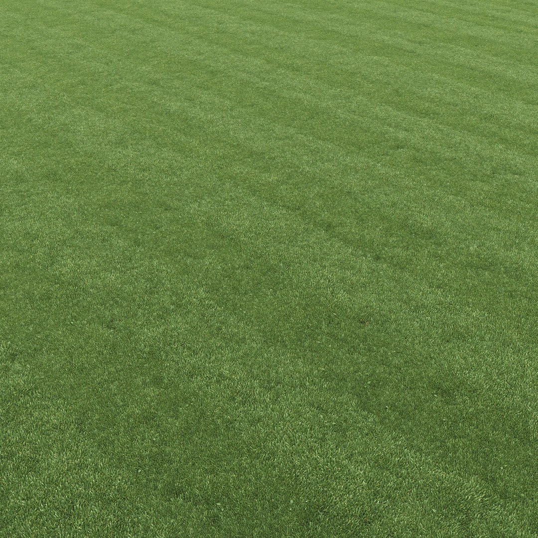 mowed lawn grass 3D https://p.turbosquid.com/ts-thumb/BE/M7BVjY/bDCyaV80/preview09/jpg/1607344361/1920x1080/fit_q87/e07d2885b46bdc260a64e089c69161b00c130ea6/preview09.jpg