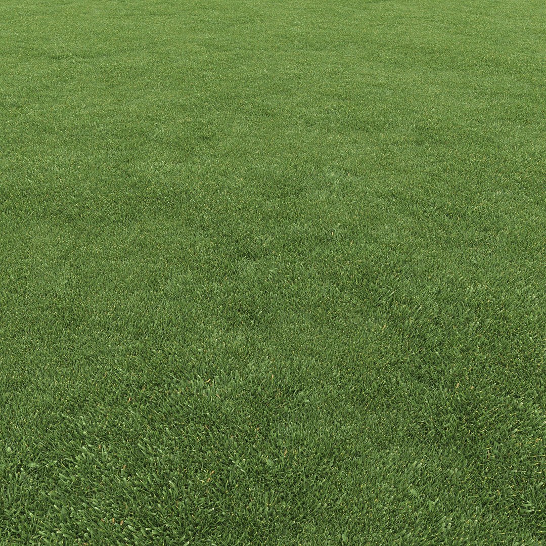 mowed lawn grass 3D https://p.turbosquid.com/ts-thumb/BE/M7BVjY/gXQLh1kg/preview04/jpg/1607344361/1920x1080/fit_q87/c7fa83a77a6f1c62fd4db4404e3a8cceb8cd9671/preview04.jpg