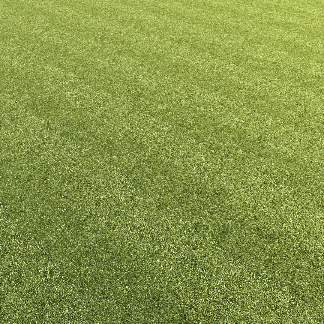 mowed lawn grass 3D https://p.turbosquid.com/ts-thumb/BE/M7BVjY/jAH6nV0Q/preview10/jpg/1607344361/1920x1080/fit_q87/1331ec91fb925fd008914dbf974d9600390c0630/preview10.jpg