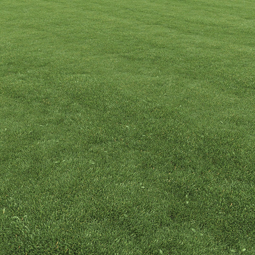 mowed lawn grass 3D https://p.turbosquid.com/ts-thumb/BE/M7BVjY/ojwt6Krg/preview02/jpg/1607344361/1920x1080/fit_q87/a69069426ccf4cfd824861e3bdb87efb54a41995/preview02.jpg