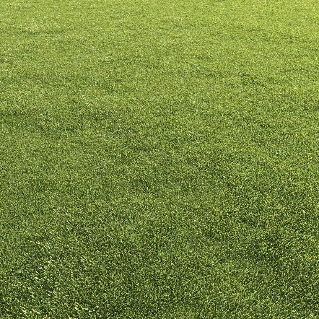 mowed lawn grass 3D https://p.turbosquid.com/ts-thumb/BE/M7BVjY/y6ZkqMFz/preview03/jpg/1607344361/1920x1080/fit_q87/d9b06fdff061641c41fc6b34739caf5d65853e49/preview03.jpg