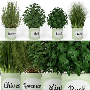 Plants collection 202