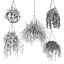 Collection plant vol 01 hanging - ampelous 3D model