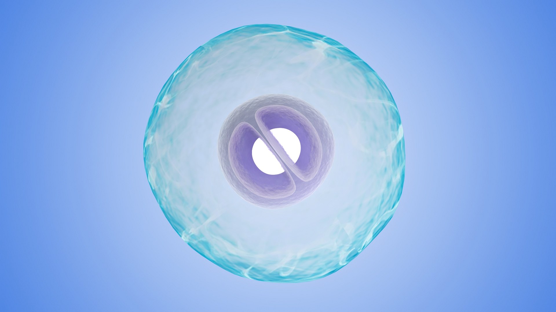 protein enzyme DNA biology disease microscope microscopic 3D model https://p.turbosquid.com/ts-thumb/BE/ZcwM9r/R0/001/jpg/1655133863/1920x1080/fit_q87/5d3d0cbdaf153eb8039f8874511e60f6f88eec86/001.jpg