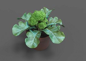3D pot broccoli