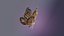3D Butterfly Monarch