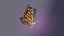 3D Butterfly Monarch