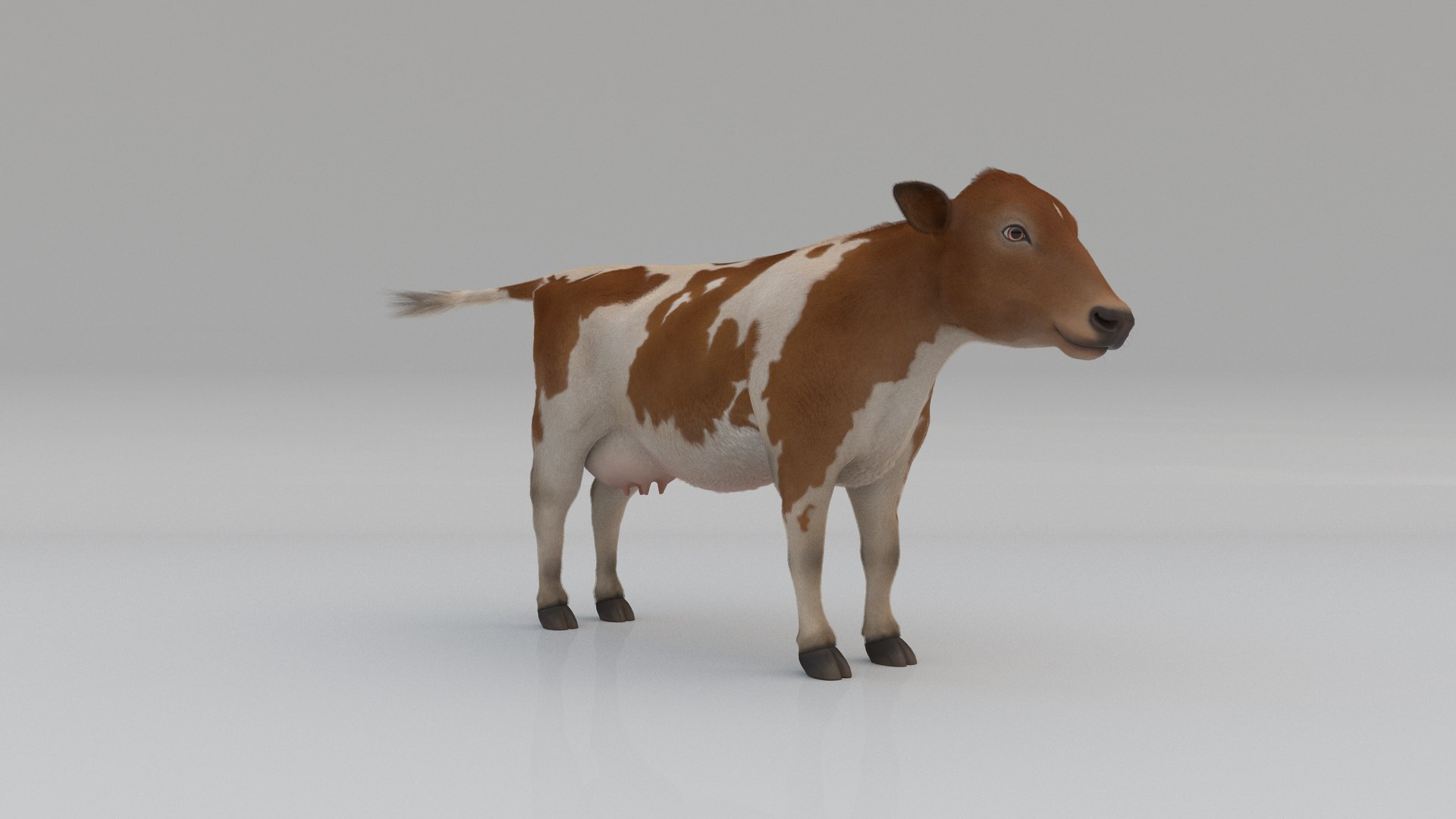 Dairy Cow FUR ANIMATED 3D Model - TurboSquid 1962775