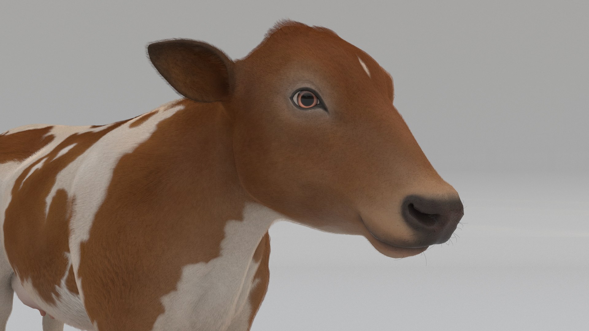 Dairy Cow FUR ANIMATED 3D Model - TurboSquid 1962775
