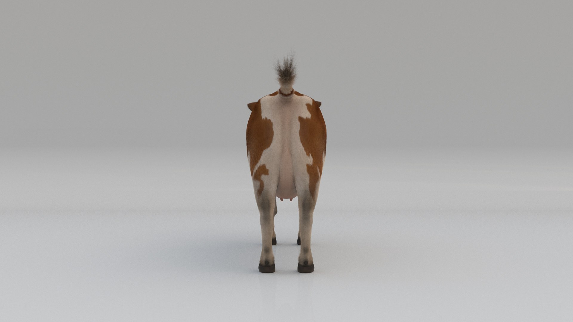 Dairy Cow FUR ANIMATED 3D Model - TurboSquid 1962775