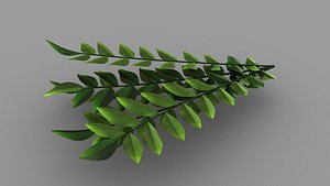 3D curry leaves model