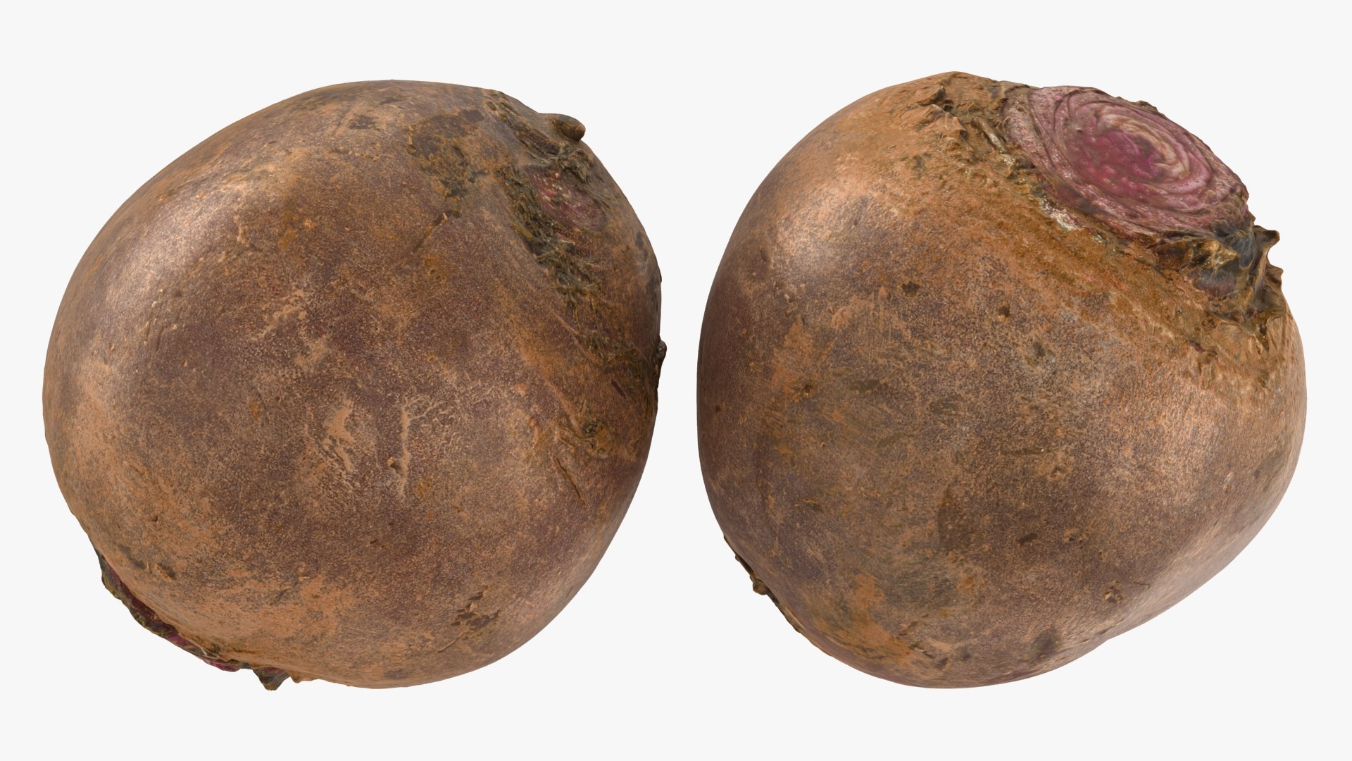 Beetroot Collection 3D model https://p.turbosquid.com/ts-thumb/BF/OlRoy4/W1/beetroot_a0002/jpg/1651065821/1920x1080/fit_q87/d7efea58240007b542a115662eb92fa61b2d2ead/beetroot_a0002.jpg