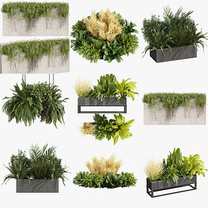 Plant Collection – 01