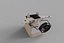 Virtual reality experience real flight Oculus headset flight simulator VR