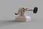 Virtual reality experience real flight Oculus headset flight simulator VR