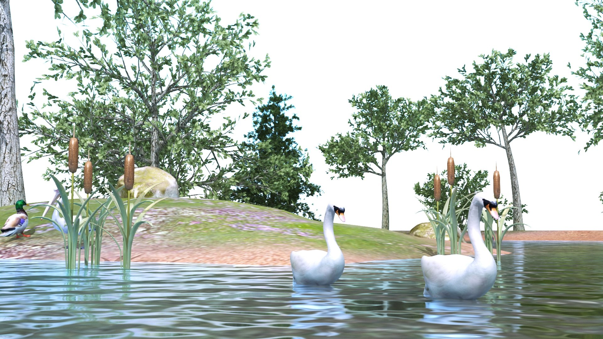 Lake with Animals model https://p.turbosquid.com/ts-thumb/BF/RfkIZo/AN/lakewithanimals5/jpg/1740399738/1920x1080/fit_q87/5d8118c568f2af3ebd503ba4f9c7f39b8269074a/lakewithanimals5.jpg