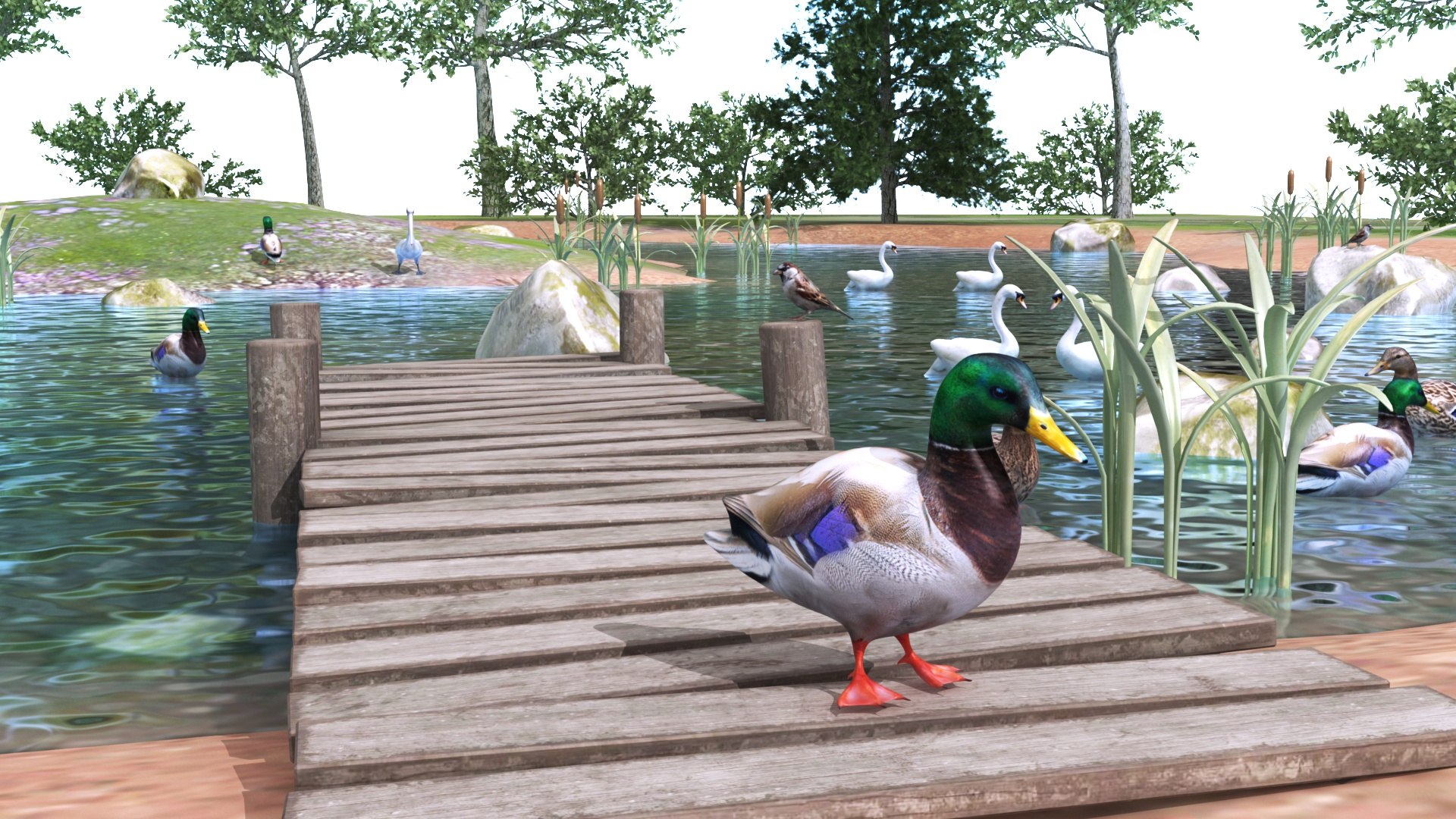 Lake with Animals model https://p.turbosquid.com/ts-thumb/BF/RfkIZo/Jb/lakewithanimals2/jpg/1740399735/1920x1080/fit_q87/4091768272da36366de55f4769e70f56b094ef0c/lakewithanimals2.jpg