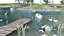 Lago com animais