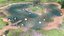 Lago com animais