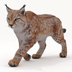 Lynx 3D model