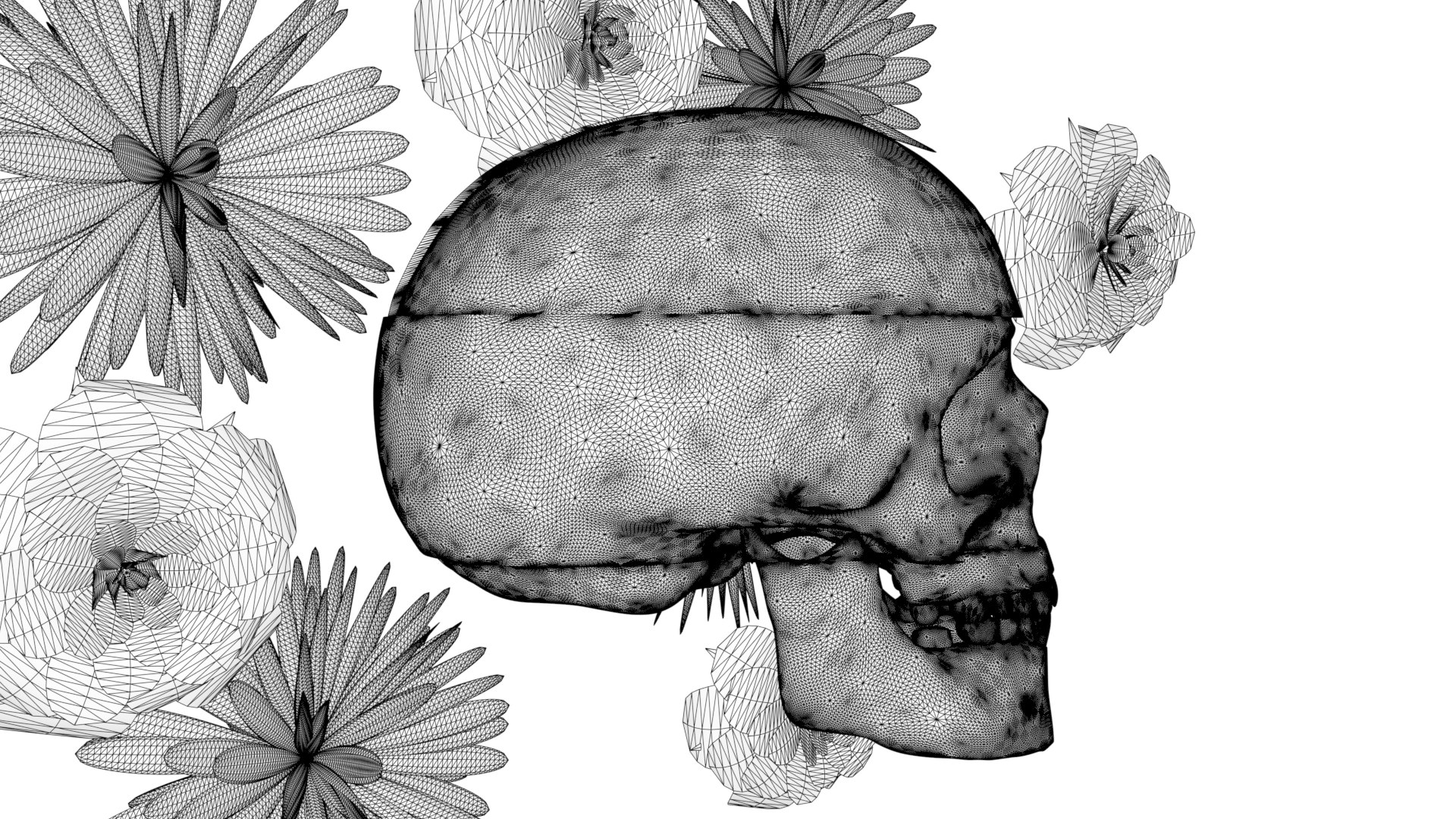 3D fantasy skull https://p.turbosquid.com/ts-thumb/BF/YxiE8f/iN/9/png/1647727986/1920x1080/fit_q87/0d2d31fabc2930f0283e864434213767c6ba6c88/9.jpg
