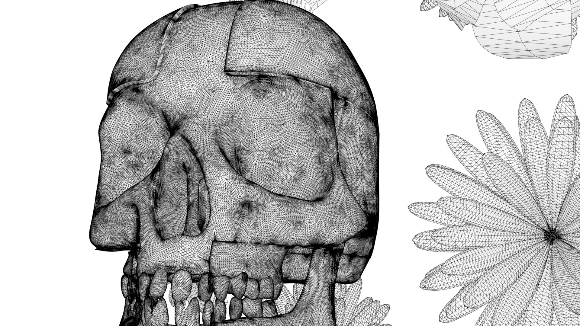 3D fantasy skull https://p.turbosquid.com/ts-thumb/BF/YxiE8f/kR/6/png/1647728047/1920x1080/fit_q87/b80e51069db7bbf80e601e87dabf58c611565776/6.jpg