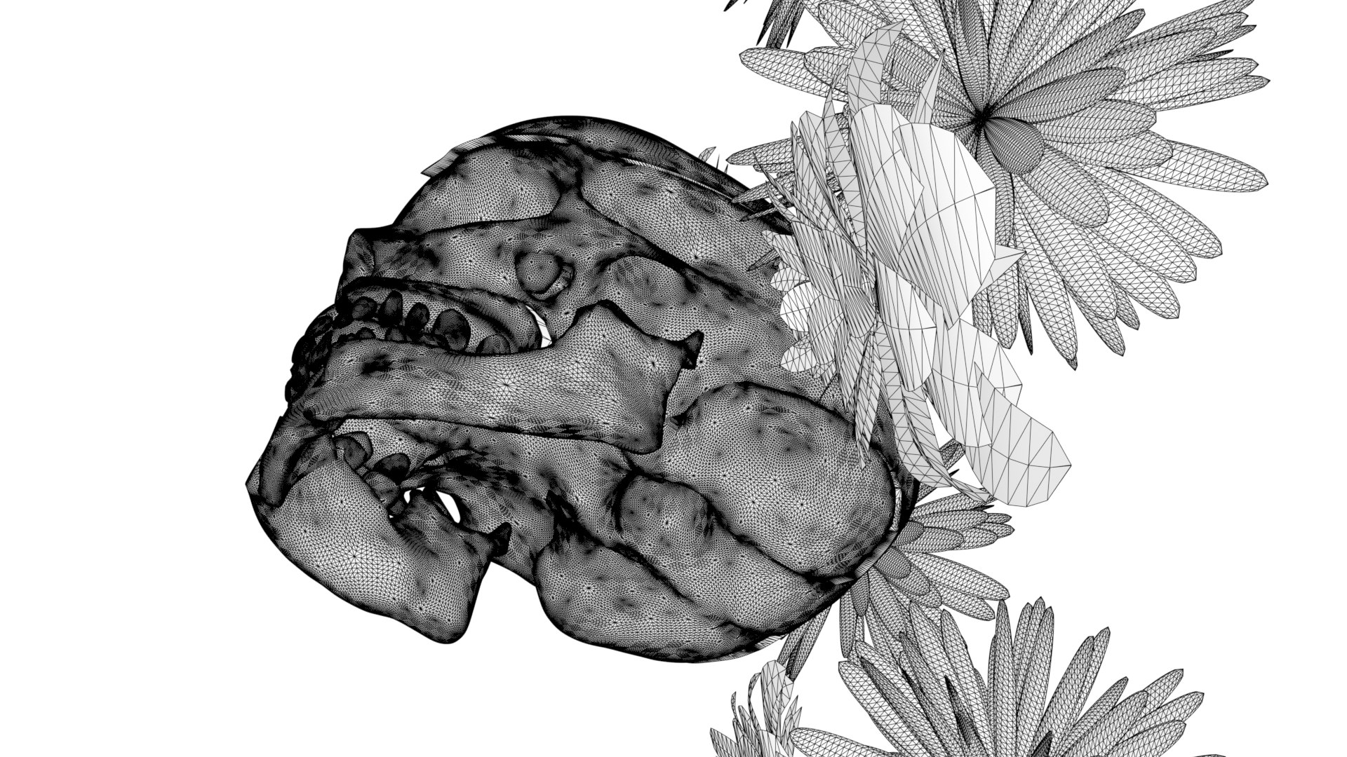 3D fantasy skull https://p.turbosquid.com/ts-thumb/BF/YxiE8f/lS/15/png/1647727661/1920x1080/fit_q87/6527d34c4897886c80e8af5428142e2d4f1515cf/15.jpg