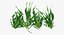 Vallisneria Spiralis Background Aquarium Plants Set