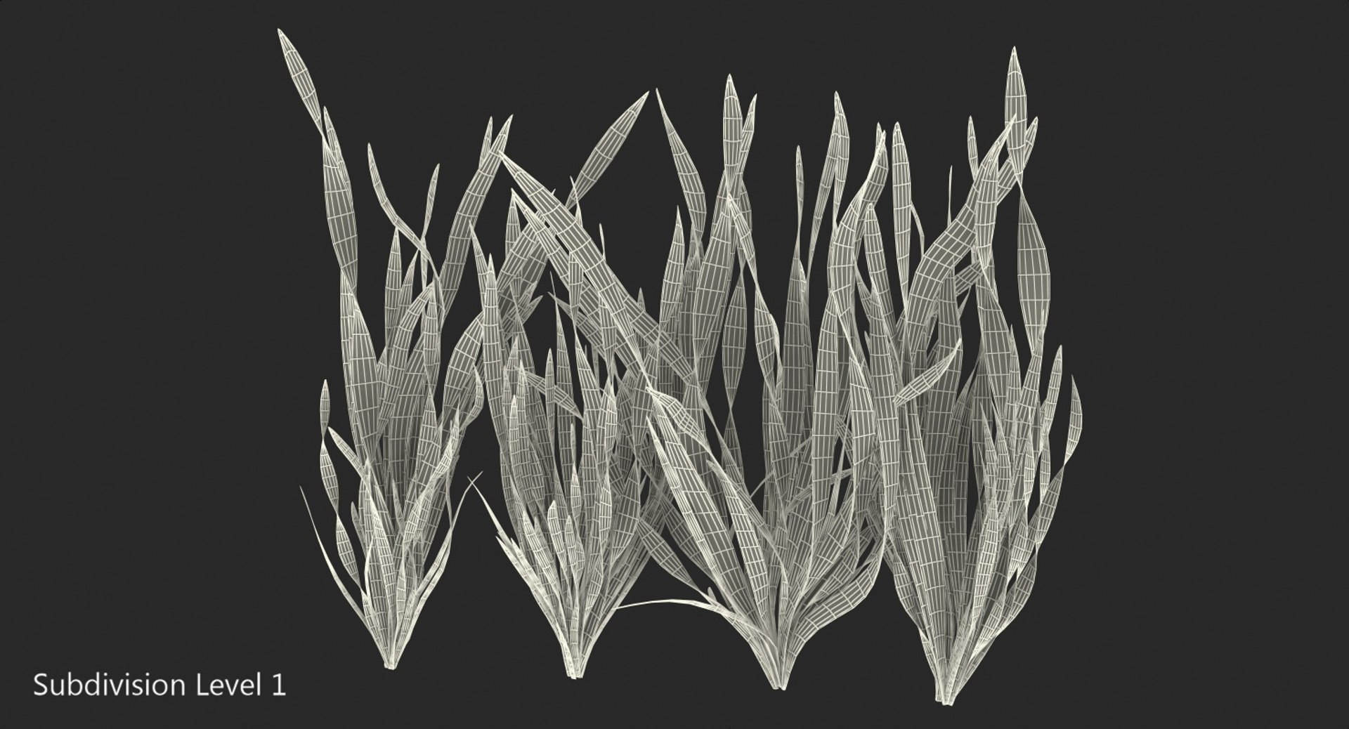 3D vallisneria spiralis background aquarium https://p.turbosquid.com/ts-thumb/BF/dr5oWc/jpjJbaGE/vallisneriaspiralisbackgroundaquariumplantssetmb3dmodel009/jpg/1526346101/1920x1080/fit_q87/67d75a5846e4bda421565f430afe2265893652cb/vallisneriaspiralisbackgroundaquariumplantssetmb3dmodel009.jpg