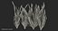 Vallisneria Spiralis Background Aquarium Plants Set