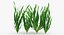 Vallisneria Spiralis Background Aquarium Plants Set