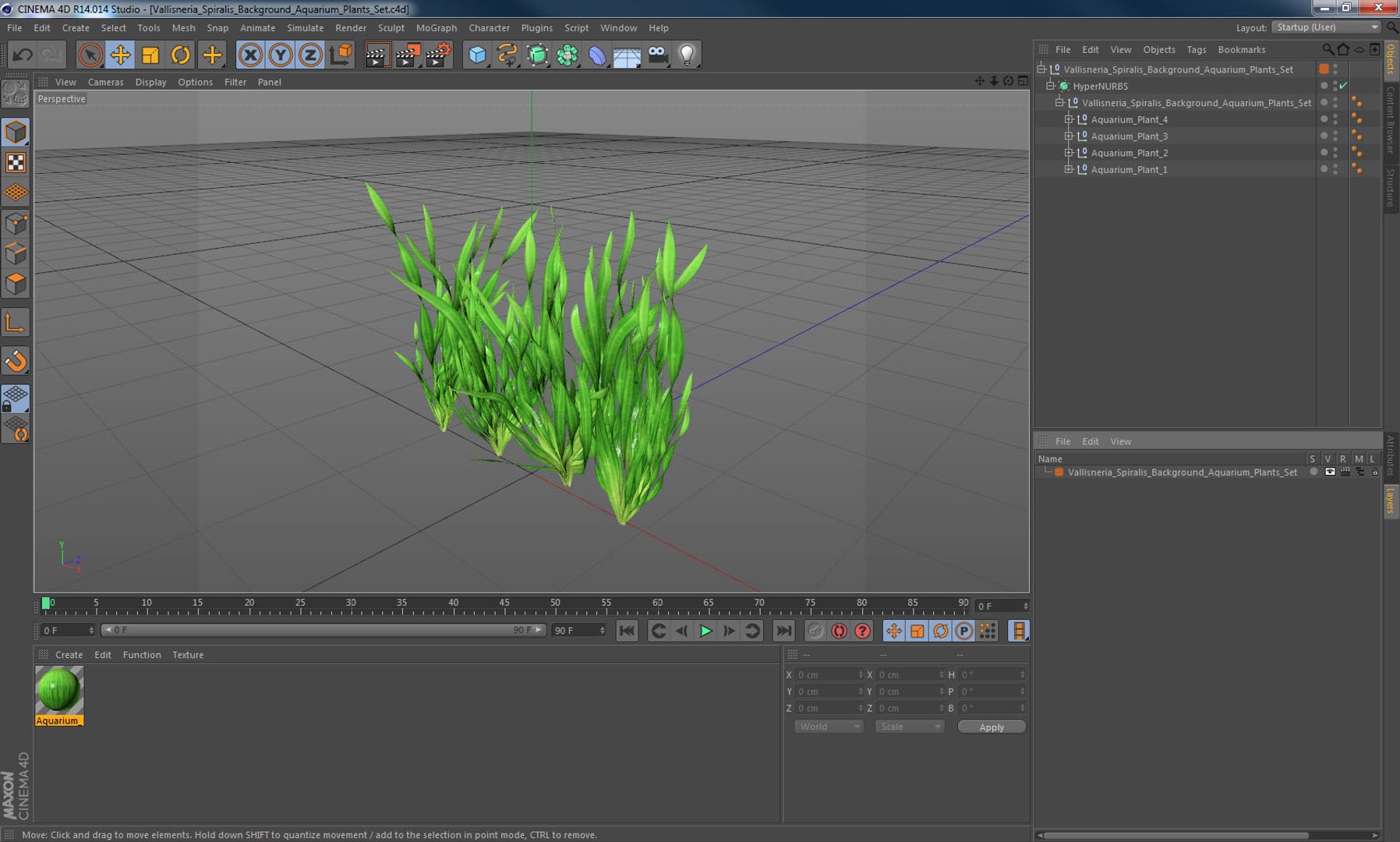 3D vallisneria spiralis background aquarium https://p.turbosquid.com/ts-thumb/BF/dr5oWc/ru0XrCx1/vallisneriaspiralisbackgroundaquariumplantssetmb3dmodel013/jpg/1526346118/1920x1080/fit_q87/c79ed251b4b88c926bdc911c34c93873c4ecddf9/vallisneriaspiralisbackgroundaquariumplantssetmb3dmodel013.jpg