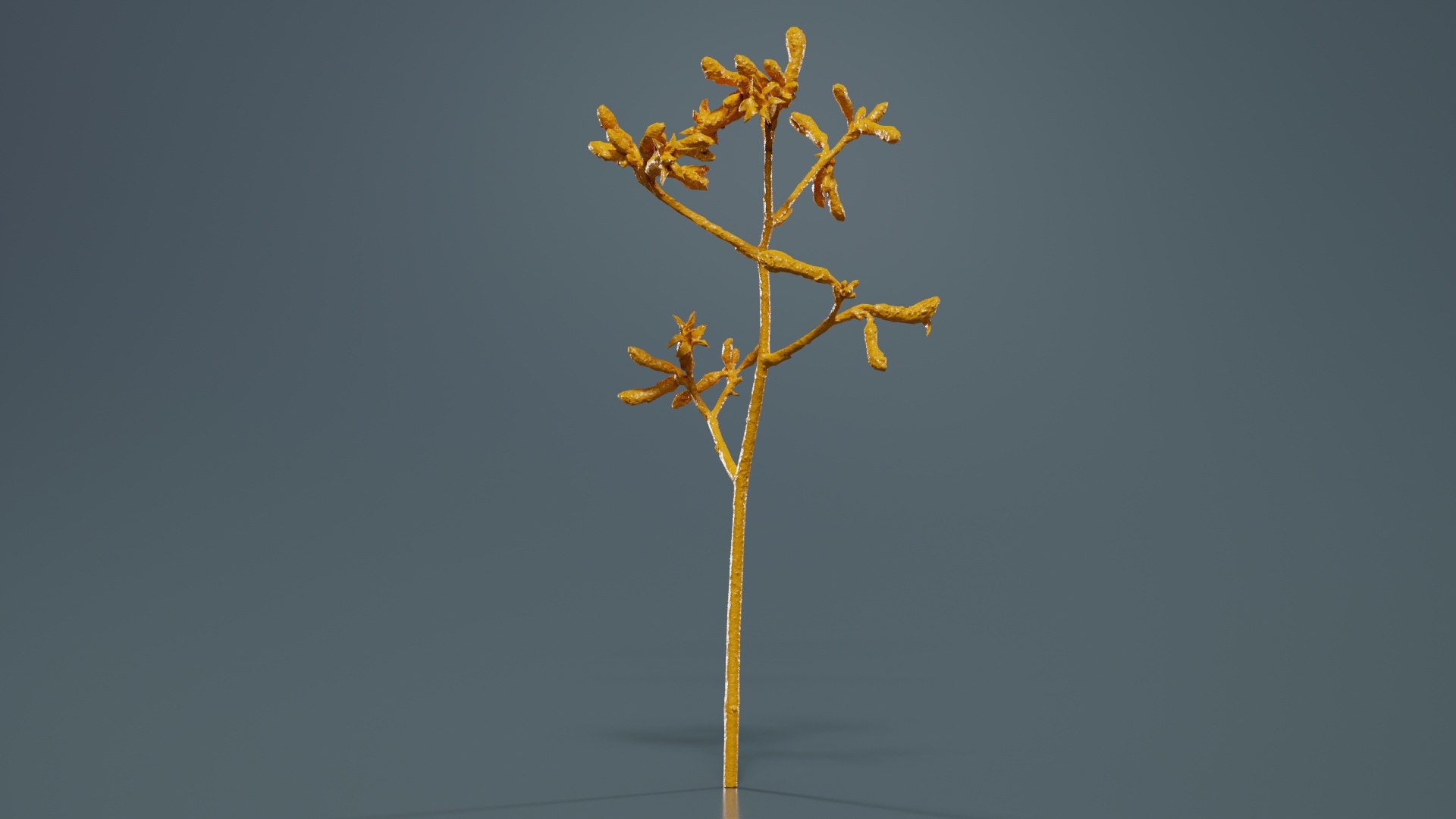 Evergreen Kangaroo Paw Australian Sword Lily Anigozanthos Flavidus Remastered 3D model https://p.turbosquid.com/ts-thumb/BF/e6y1OX/Ba/evergreen_kangaroo_paw_australian_sword_lily_anigozanthos_flavidus_13/jpg/1740375448/1920x1080/fit_q87/a6a2f4b8a5f2e45f8d57fb4c9b08f256a3167bad/evergreen_kangaroo_paw_australian_sword_lily_anigozanthos_flavidus_13.jpg