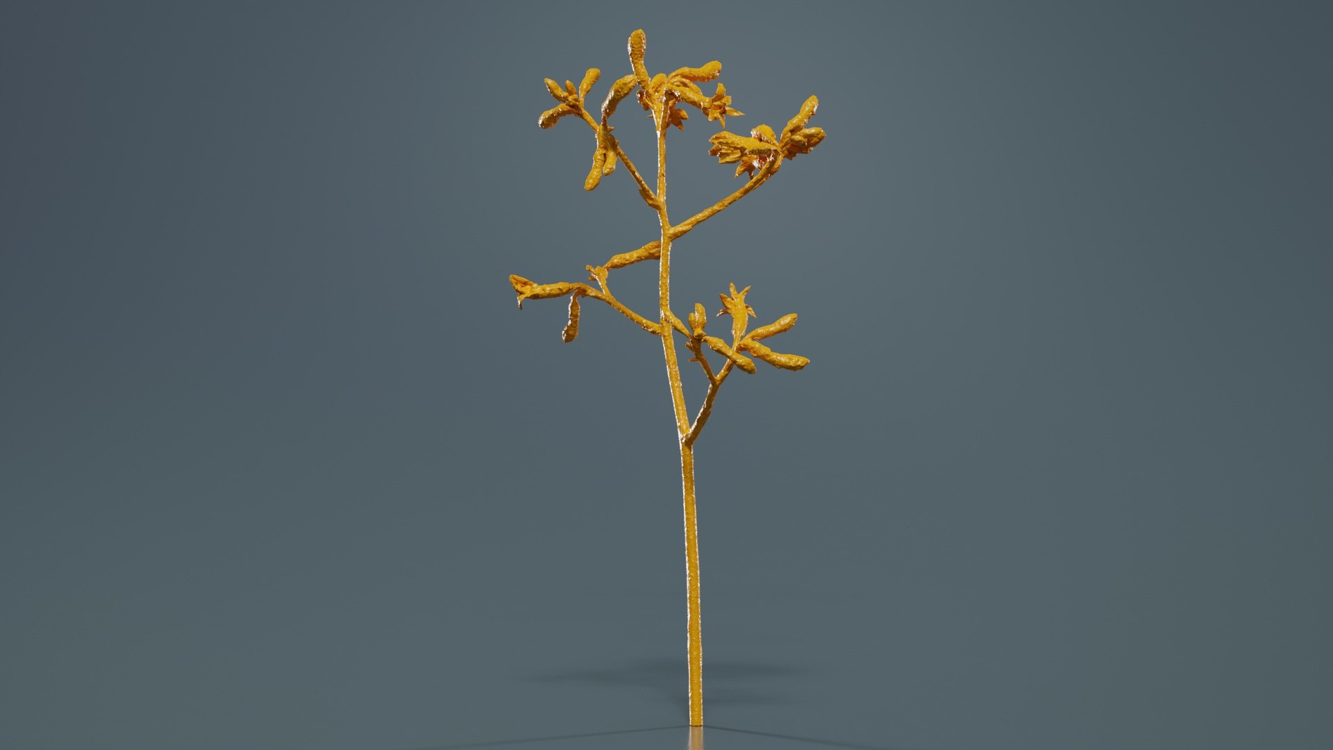 Evergreen Kangaroo Paw Australian Sword Lily Anigozanthos Flavidus Remastered 3D model https://p.turbosquid.com/ts-thumb/BF/e6y1OX/WK/evergreen_kangaroo_paw_australian_sword_lily_anigozanthos_flavidus_12/jpg/1740375445/1920x1080/fit_q87/e9c1ed45461c0afb6fae5f5acacb3b160284530a/evergreen_kangaroo_paw_australian_sword_lily_anigozanthos_flavidus_12.jpg