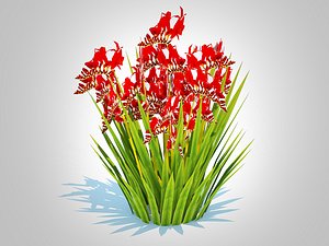 3D Crocosmia - Montbretia -Red