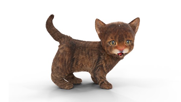 Kitten Blender Models for Download | TurboSquid