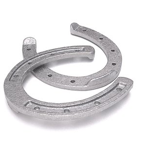 horseshoe_v1_02