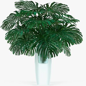 3D monstera leaves