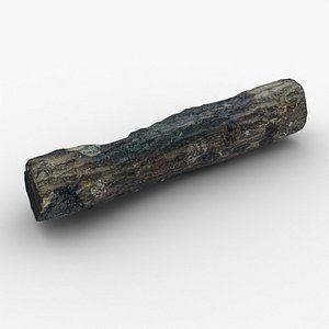 3D Firewood 0001 model