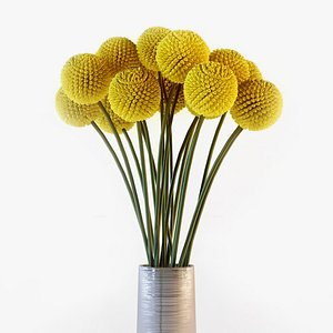 3d craspedia flowers vase