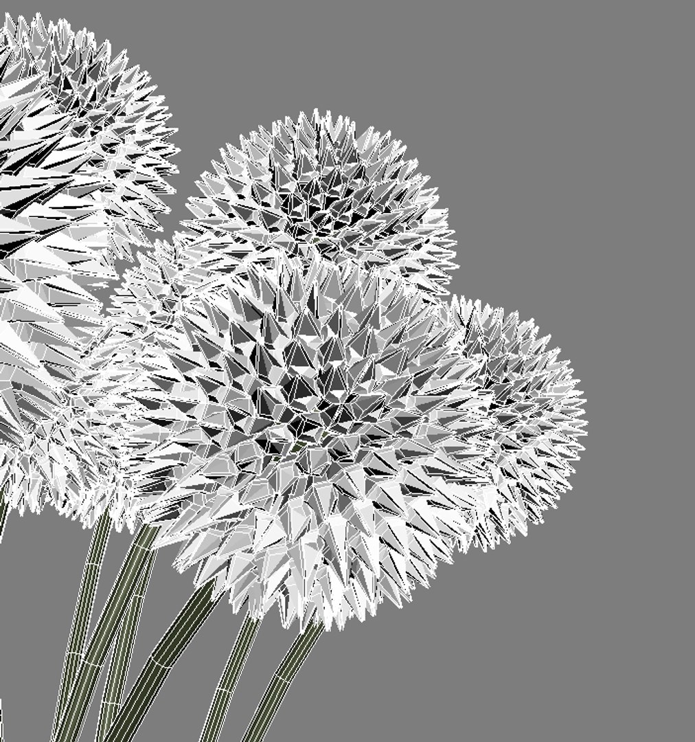3d craspedia flowers vase https://p.turbosquid.com/ts-thumb/BG/U0FuoP/JyQvDbtO/snag_program0076/png/1354042653/1920x1080/fit_q87/40cfdffe04a1e4fcf7816df32f99666df7948063/snag_program0076.jpg