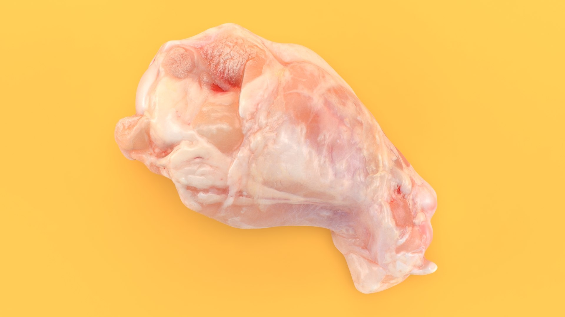 3D Fresh Raw Chicken Wing Drumette v2 TurboSquid 2053386