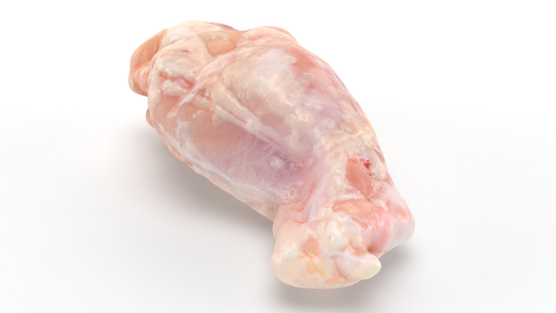 3D Fresh Raw Chicken Wing Drumette v2 TurboSquid 2053386